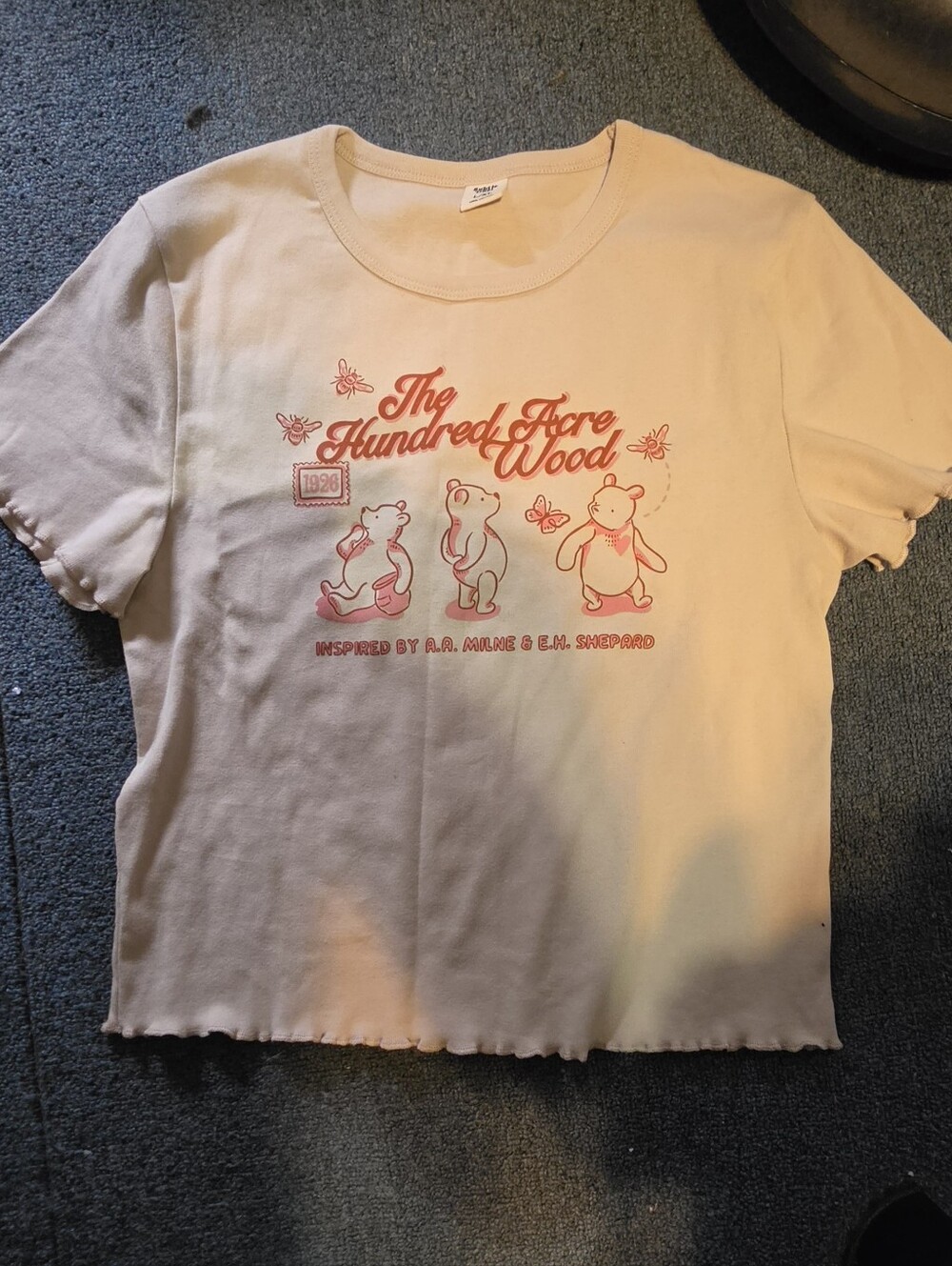 Subtle Dust The Hundred Acre Wood Winnie the Pooh